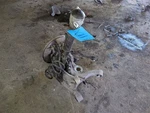 Driver Rear Suspension Without Crossmember Fits 13-15 Audi RS5. Fixed Price $149.25.